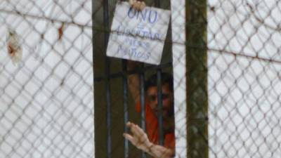 La ONU también expresó su preocupación por el estado de salud del opositor venezolano que suma 22 días en huelga de hambre.