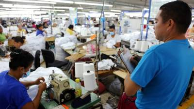 La buena dinámica de inversión generará la creación de más de 15,000 empleos directos en el sector maquilador este 2016. En la imagen una empresa textil ubicada en Choloma.