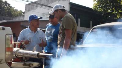 En los trabajos se hace fumigación, limpieza, educación a los habitantes y abatización.