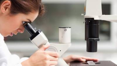 Se descubrio que la proteína es la causante del desarrollo de la hemorragia en el dengue.