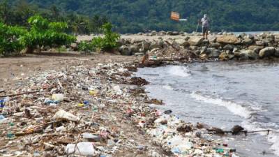 Los desechos arrastrados desde Guatemala afectan 45 kilómetros de la línea costera