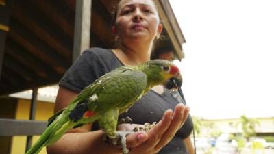 Decenas de sampedranos acudieron a inscribir a sus mascotas. Foto Amílcar Izaguirre