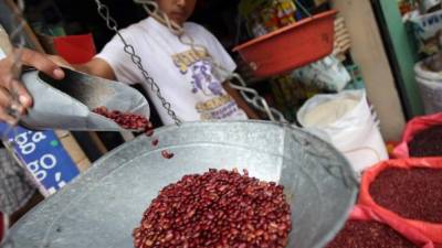 En Tegucigalpa se paga hasta L130.00 por la medida de frijol rojo.