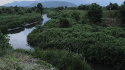 La contaminación en los afluentes del Chamelecón es alarmante, por lo que urgen construir las plantas de tratamiento.