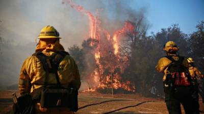MALIBU, CA - NOVEMBER 11: Firefighters battle a blaze at the Salvation Army Camp on November 10, 2018 in Malibu, California. The Woolsey fire has burned over 70,000 acres and has reached the Pacific Coast at Malibu as it continues grow. Sandy Huffaker/Getty Images/AFP