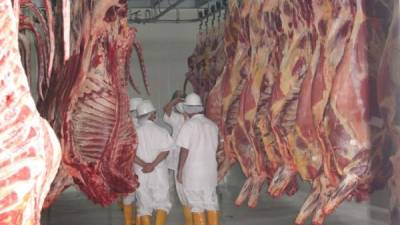 La carne se destaca entre los productos que Latinoamérica podría proveer a Rusia.