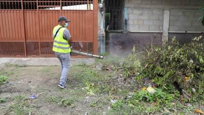 La campaña de fumigación se realizó en aquellas colonias vulnerables donde pueden existir criaderos del Aedes Aegypti.