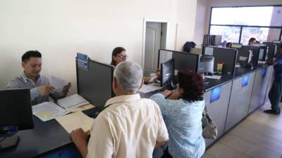 Más de 200 personas llegan a diario a las oficinas del Instituto de la Propiedad en San Pedro. Foto: Wendell Escoto.