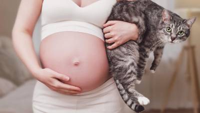Toxoplasmosis en el embarazo: enfermedad transmitida por parásitos