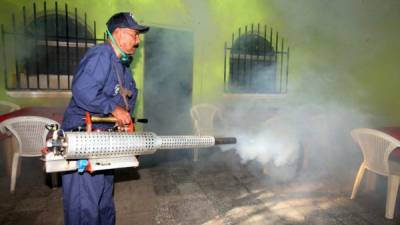 Personal de Salud ha intensificado los operativos de fumigación contra el zancudo transmisor de la chikungunya.