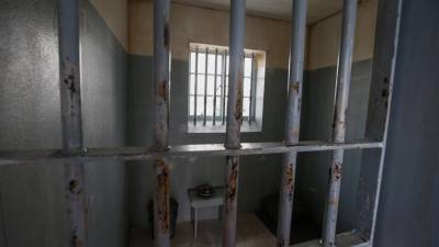 Imagen referencial de una celda.