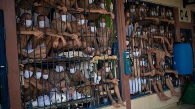 El presidente de El Salvador, Nayib Bukele, negó este fin de semana que su gobierno haya realizado un pacto con la pandilla Mara Salvatrucha MS-13 para reducir la cifra de homicidios en el país a cambio de beneficios penales, tras una publicación del periódico digital El Faro.