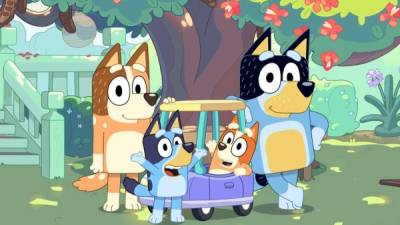 La serie animada narra las aventuras de Bluey, la cachorra protagonista de seis años, más su hermana menor, Bingo, y sus padres Bandit y Chilli, un arqueólogo y una guardia de aeropuerto, respectivamente.