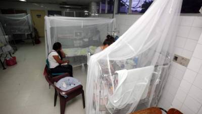 En Honduras, los casos de dengue se disparan en época de lluvias.