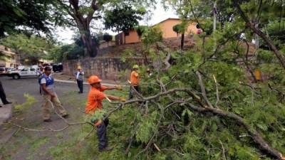 Las lluvias que han caído en la mayor parte del país provocaron daños materiales en la capital el pasado miércoles.