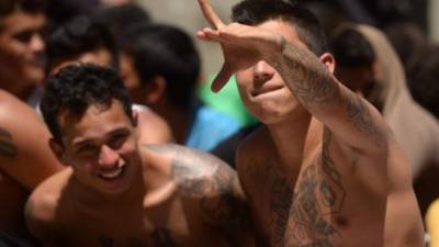 Imagen con fines ilustrativos/Foto: AFP.