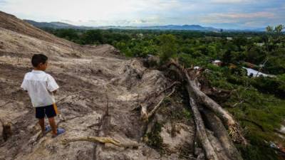 Expertos advierten que se debe reducir la deforestación en Honduras.