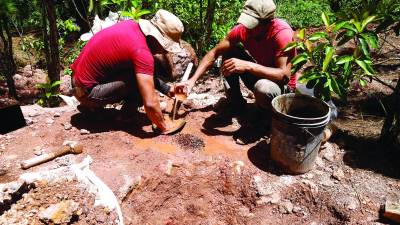 José Geovany González (de 30 años) y Nahún Cáceres (de 31) obtienen una muestra de materia bruta, compuesta por tierra y rocas, como cuarzo y pirita. La trituran y la rocían con agua en una cuchara metálica. Después de varios minutos aflora el oro, luego los mineros comienzan o continúan las excavaciones siguiendo una veta. Fotos: Franklin Muñoz