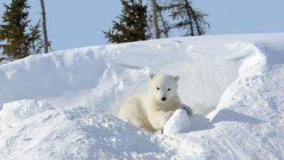 Foto de istockphoto.com