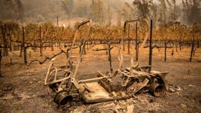 TOPSHOT - The remains of a golf cart burned by the Glass Fire sits next to a vineyard at Calistoga Ranch in Calistoga, Napa Valley, California on September 30, 2020. - Two California wildfires that ravaged Napa's famous wine region and killed three people exploded in size Tuesday as firefighters faced a weeks-long battle to contain the blazes. (Photo by Samuel Corum / AFP)