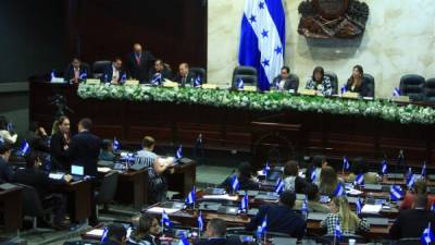 El Congreso Nacional conocerá esta semana el proyecto del presupuesto general 2015.
