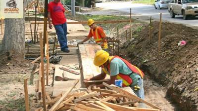 Personal de Idecoas trabaja en el parque Los Pinos.