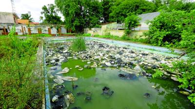 <b>El antiguo Casino Sampedrano se ha convertido en un criadero de zancudos, en toda la ciudad hay predios baldíos sucios y ya se comenzó a aplicar multas.</b>