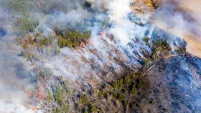 Decenas de hectáreas de bosque fueron consumidas por el incendio en los alrededores de Chernóbil./AFP.
