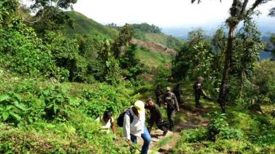 En algunas ocasiones los ambientalistas y militares han patrullado en El Merendón.