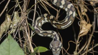 Foto de istockphoto.com