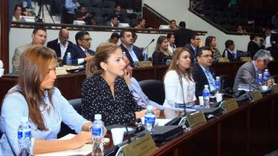 En el Congreso Nacional, solo los 13 diputados de PAC han reclamado el derecho de votar según su conciencia.