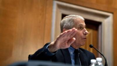 Anthony Fauci, asesor de la Casa Blanca y principal epidemiólogo de EEUU. FOTO: EPA / EFE