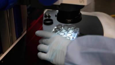 Alemania también donó a Honduras dos aparatos termocicladores necesarios para el PCR en tiempo real.