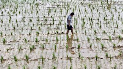 El agua, la tierra y el aire limpio son los recursos agotados por los países con mayor número de habitantes en 2019./