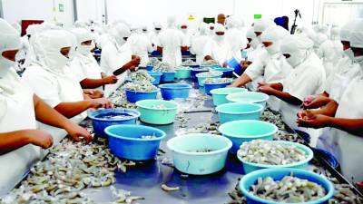 <b>Los camaroneros estarán en la feria mundial demariscos, que se celebrará en China en búsqueda de mercados.</b>