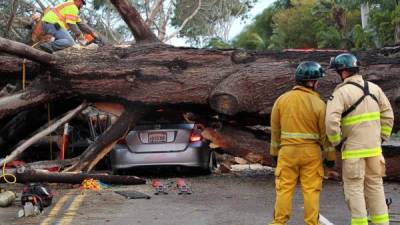 El auto de la mujer quedó aplastado por un árbol debido a los fuertes vientos. Cortesia San Diego Union Tribute.