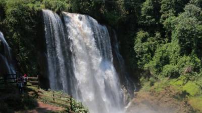 Las cataratas de Pulhapanzak tiene una altura de 43 metros, es la segunda en Centroamérica. Fotos: Melvin Cubas