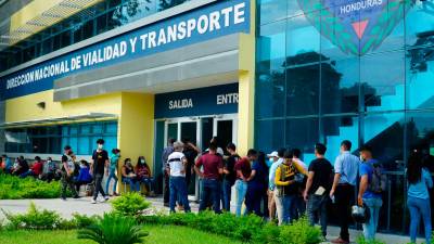 Oficinas. Las filas para el trámite de la licencia son extensas.