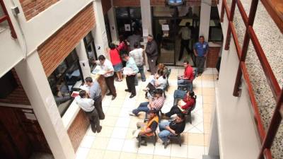 Todo transportista será certificado, así como cada unidad.