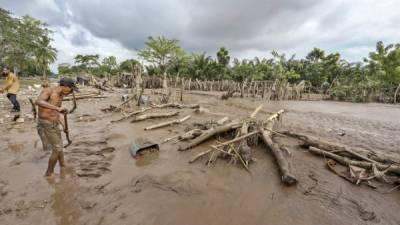 Una gran porción del valle de Sula fue devastada por el paso de las dos tormentas en noviembre pasado. (Photo by Wendell ESCOTO / AFP).