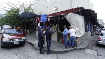 El estudio de campo para la colocación de cámaras está finalizado y se revisan detalles. Fotos: Wendel Escoto