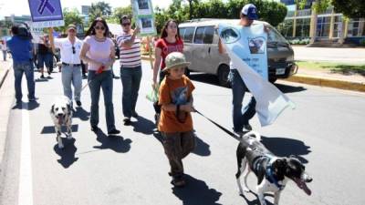 Las organizaciones se han manifestado en defensa de los animales.