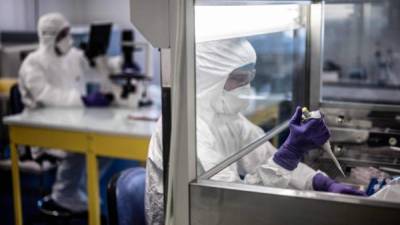 Científicos buscan una vacuna para evitar mayor propagación del coronavirus./AFP.