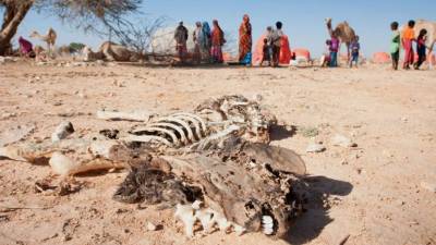 La epidemia por contaminación del agua amenaza la vida de miles de somalíes.