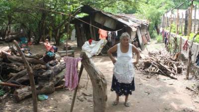 Una pobladora de la tercera edad en Choluteca frente a su casa improvisada de láminas y cartones.