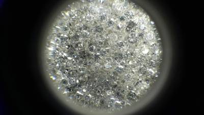 Cuando el coronavirus infecta a una persona, el primer paso del proceso parte de una proteína del virus, la proteína de pico (S), que se vincula al receptor humano de una enzima conversiva de la angiotensina 2 (ACE2). AFP