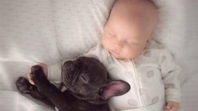 Dilan y su mascota Farley cautivan en las redes sociales.