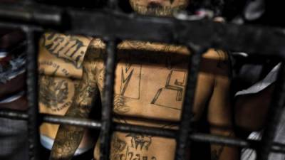 SAN SALVADOR, EL SALVADOR - FEBRUARY 20: A member of the Mara Salvatrucha gang (MS-13) stands behind bars in a cell at a detention center on February 20, 2014 in San Salvador, El Salvador. Although the country's two major gangs reached a truce in 2012, the police holding cells currently house more than 3000 inmates, five times the official capacity. Partly because Mara gang members did not break with their criminal activities, partly because Salvadorean police still applies a controversial anti-gang law which allows to detain almost anyone for suspicion of gang membership. Accused young men are held in police detention centers where up to 25 inmates may share a cell of five square metres. In the dark overcrowded cages, under harsh and life-threatening conditions, suspected gang members wait for trial or for to be transported to a regular prison. (Photo by Jan Sochor/LatinContent/Getty Images)