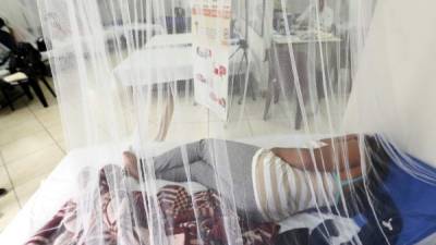 Según los registros de la Secretaría de Salud, en 2019 en Honduras unas 81.000 personas han enfermado de dengue.