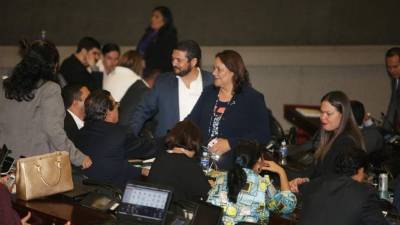 Los próximos días serán fundamentales para la aprobación de la ley política limpia, cuyo segundo debate podría ser dispensado.